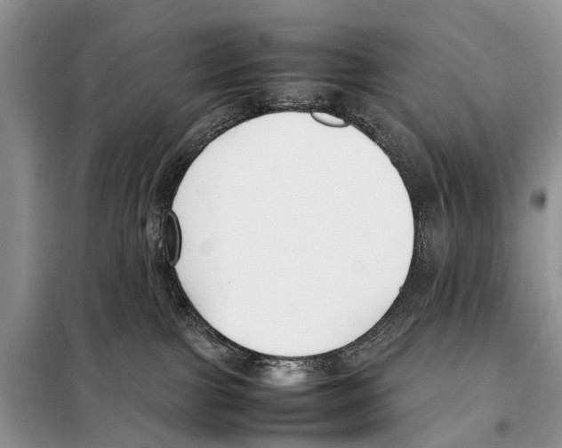 X0000098100091200805021120