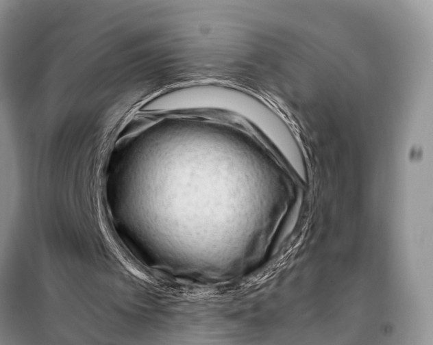 X0000098100097200805021119