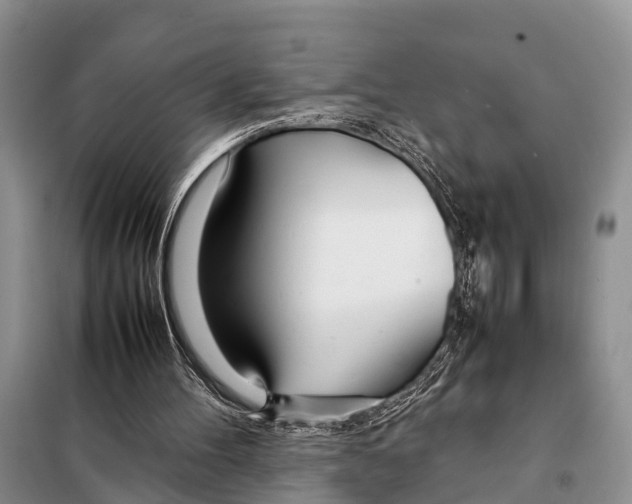 X0000098100100200805021119