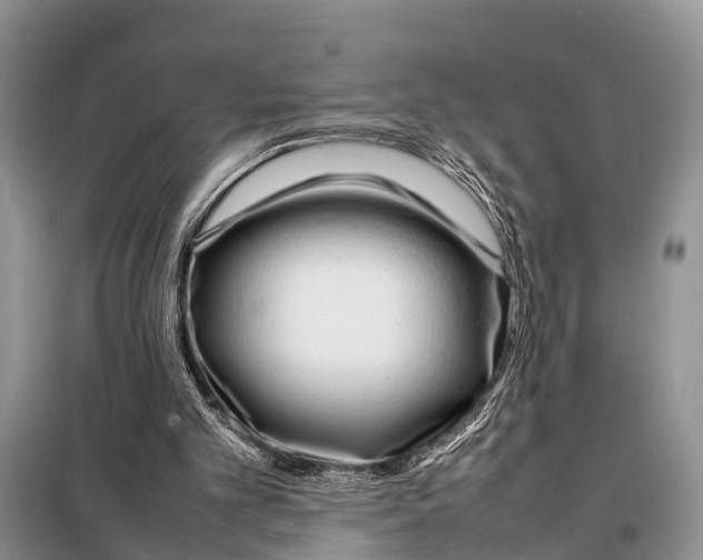 X0000098100101200805021119