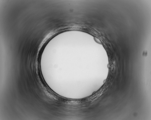 X0000098100102200805021119