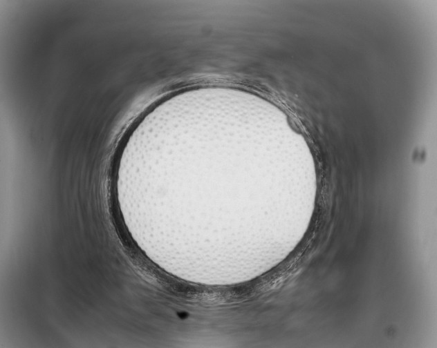 X0000098100103200805021119