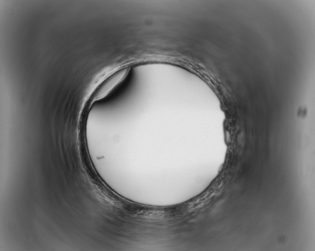 X0000098100104200805021119