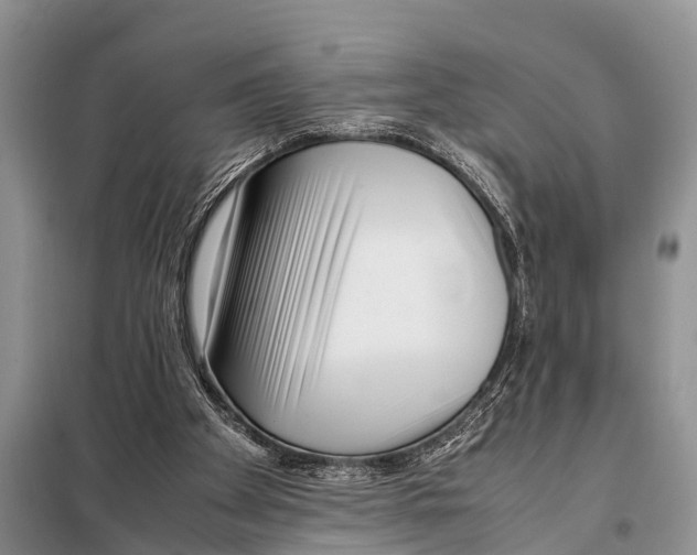X0000098100105200805021119