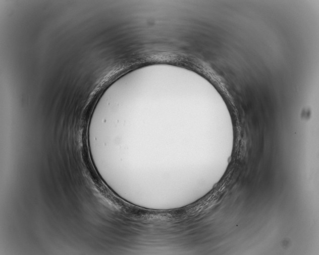 X0000098100106200805021119