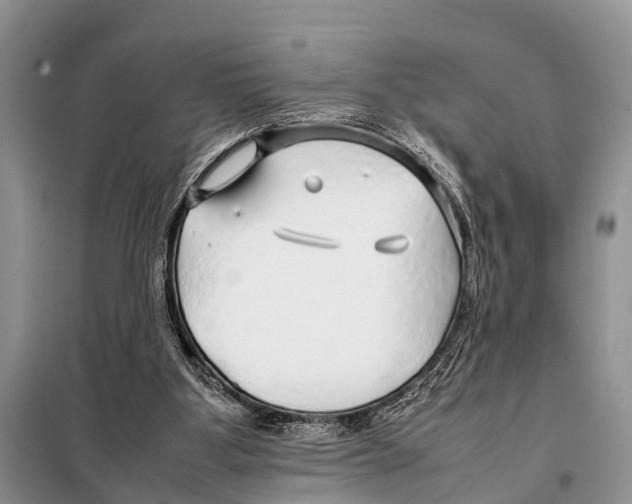 X0000098100107200805021119