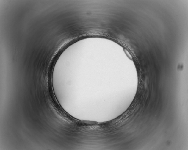 X0000098100108200805021119