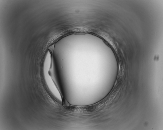 X0000098100109200805021119