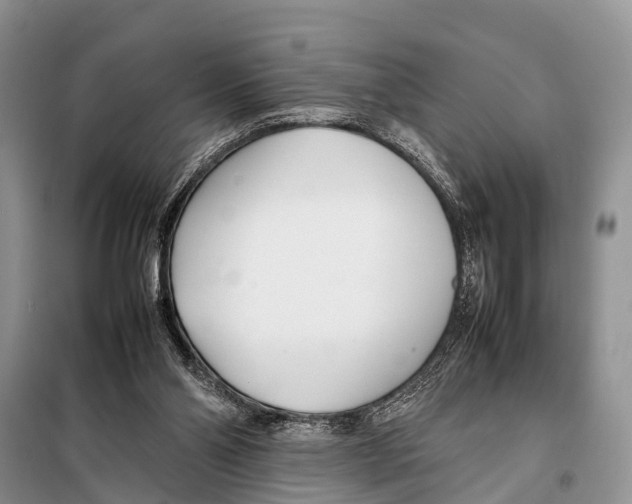 X0000098100110200805021119