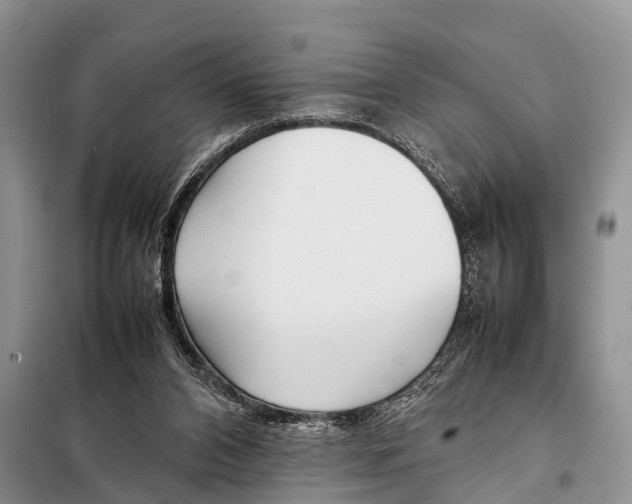 X0000098100112200805021119