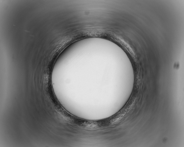 X0000098100113200805021119