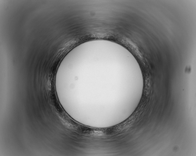 X0000098100114200805021119