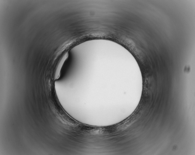 X0000098100116200805021119