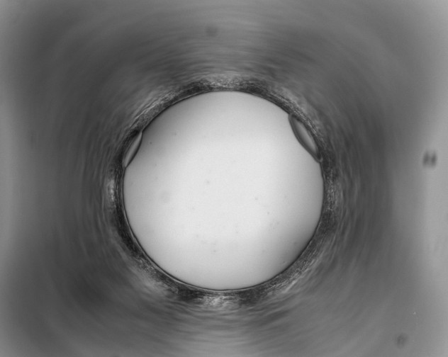 X0000098100117200805021119