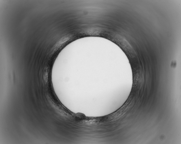 X0000098100120200805021119