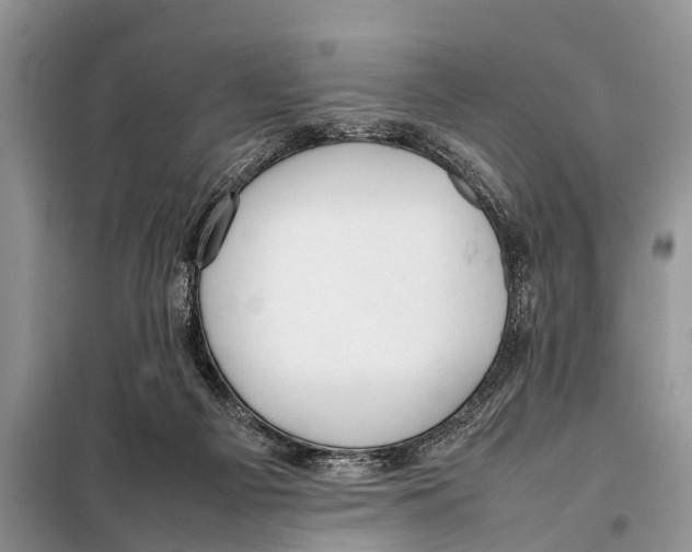 X0000098100121200805021119