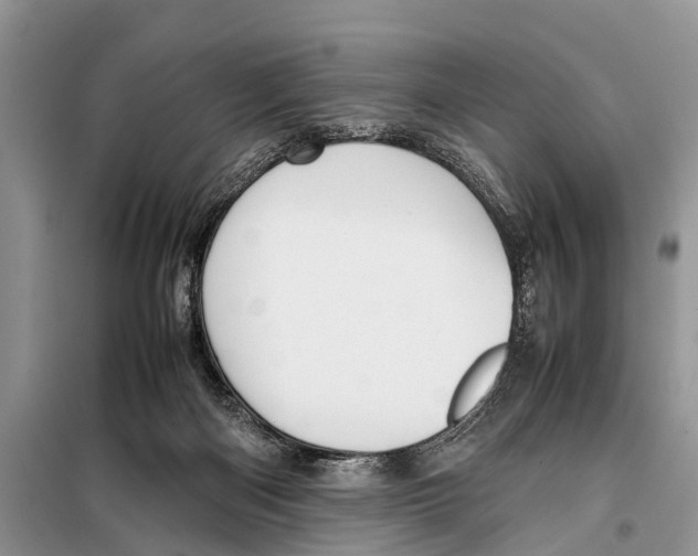 X0000098100122200805021119