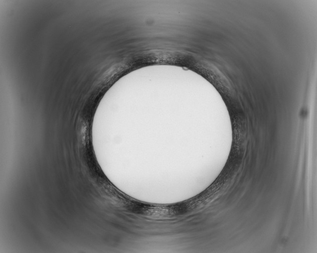 X0000098100123200805021119