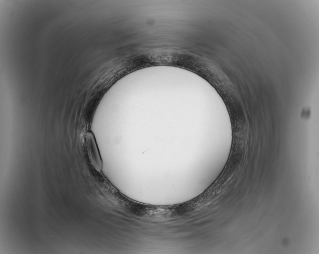 X0000098100125200805021119