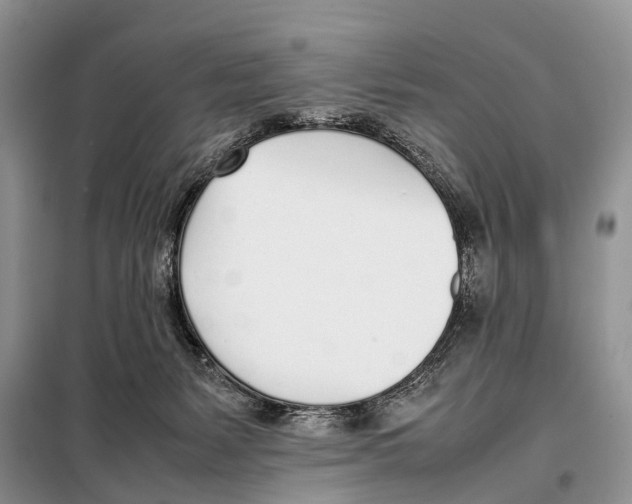 X0000098100127200805021119
