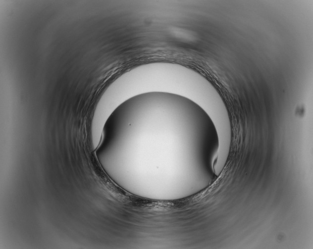 X0000098100128200805021119