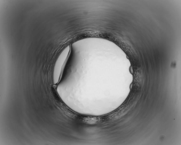 X0000098100131200805021118