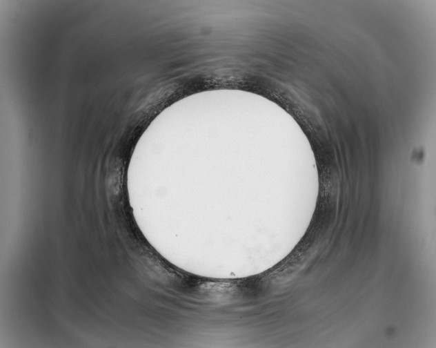 X0000098100133200805021118