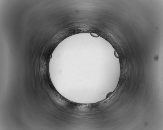 X0000098100136200805021118