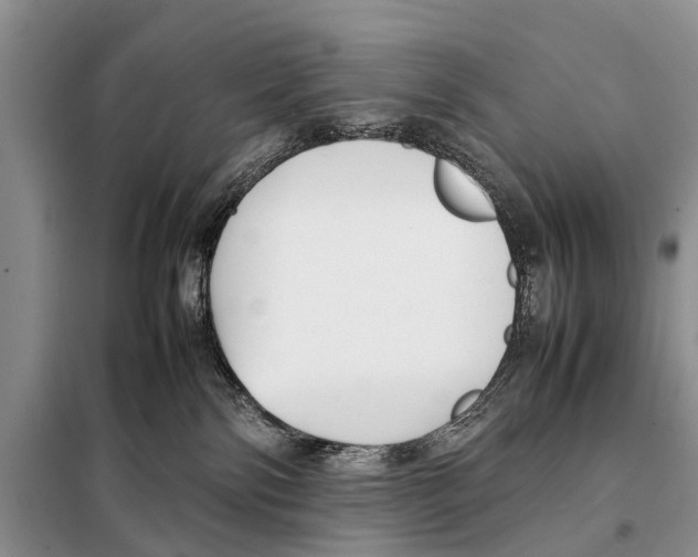 X0000098100138200805021118