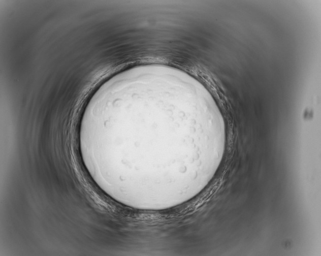 X0000098100145200805021117
