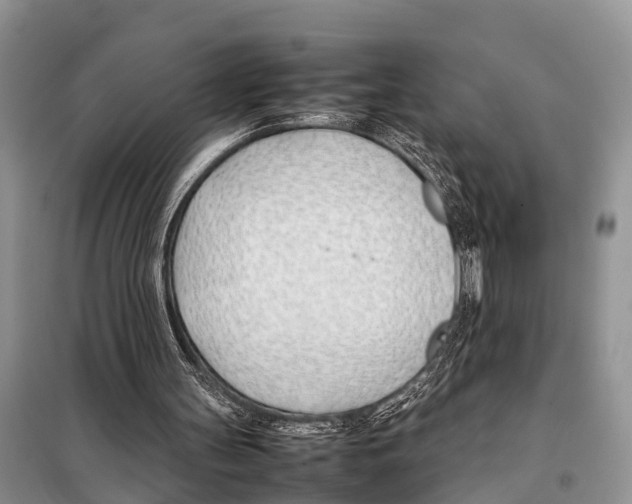 X0000098100147200805021118
