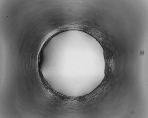 X0000098100148200805021118