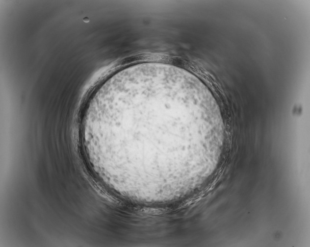 X0000098100149200805021118