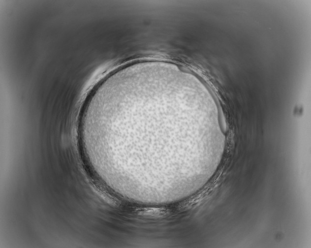 X0000098100151200805021118