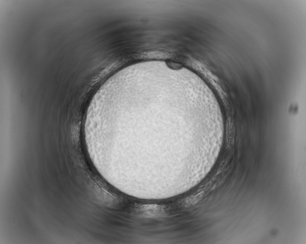 X0000098100153200805021118