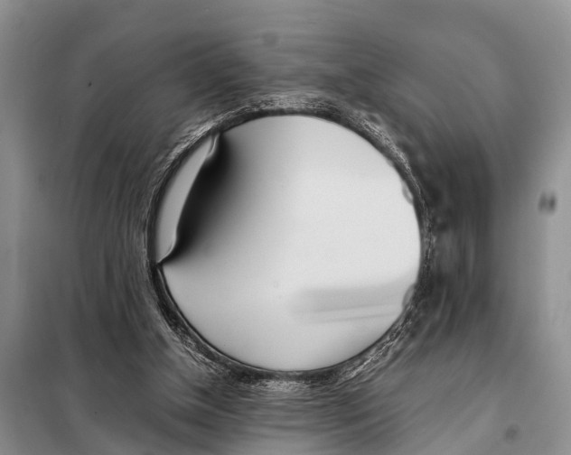 X0000098100154200805021118