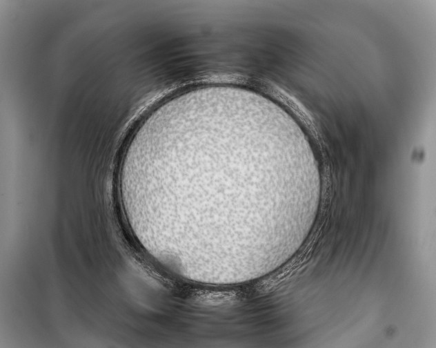 X0000098100155200805021118