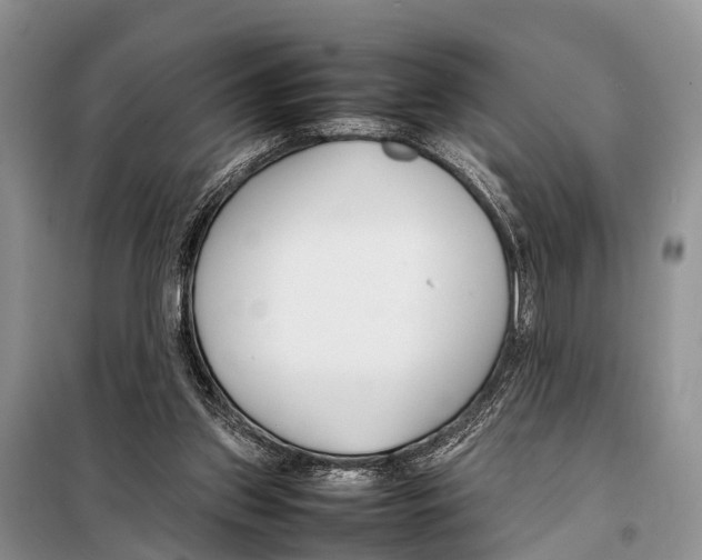 X0000098100157200805021118