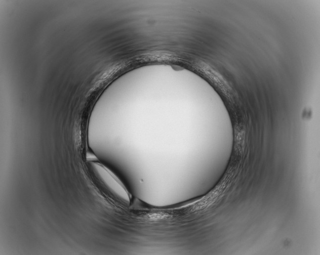 X0000098100158200805021118