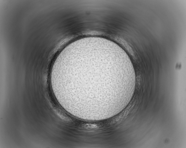 X0000098100159200805021118