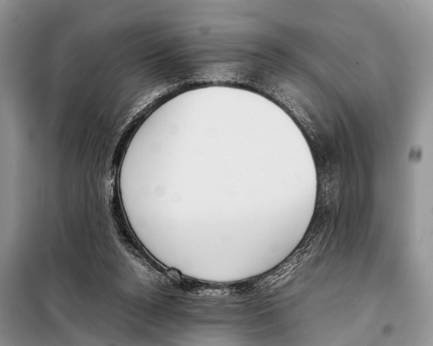 X0000098100160200805021118