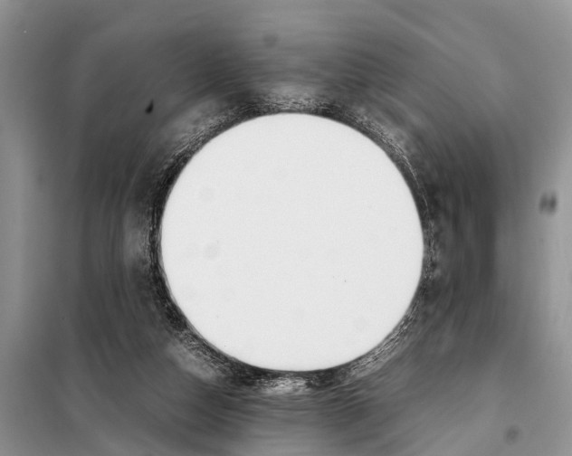 X0000098100162200805021118
