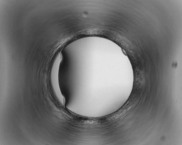 X0000098100164200805021118