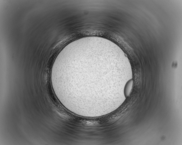 X0000098100165200805021118