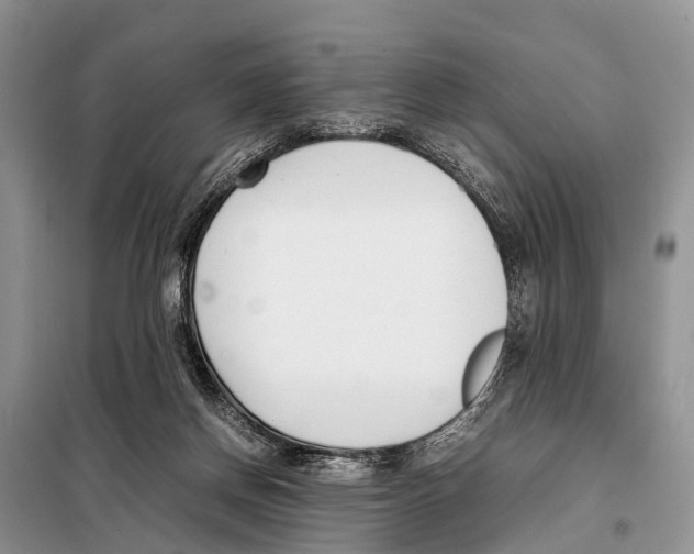 X0000098100166200805021118