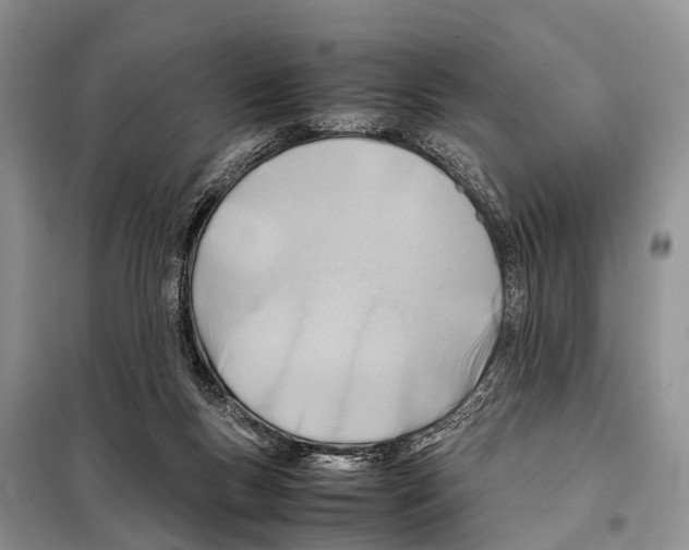 X0000098100167200805021118