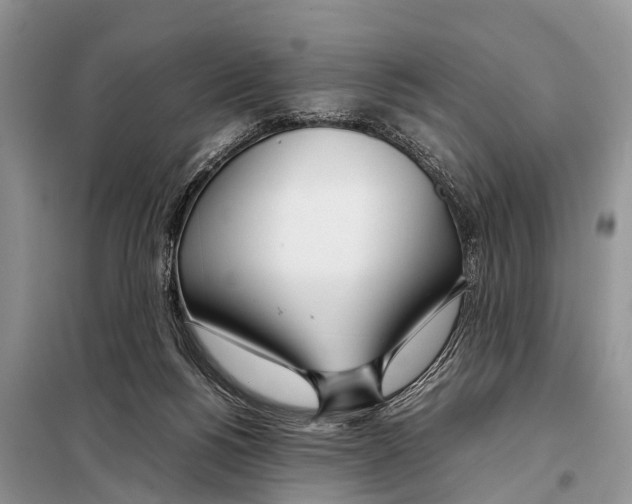 X0000098100168200805021118