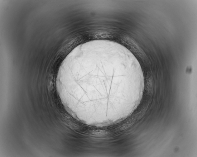 X0000098100169200805021118