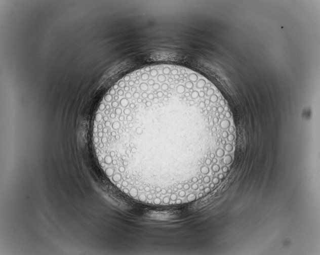 X0000098100171200805021118