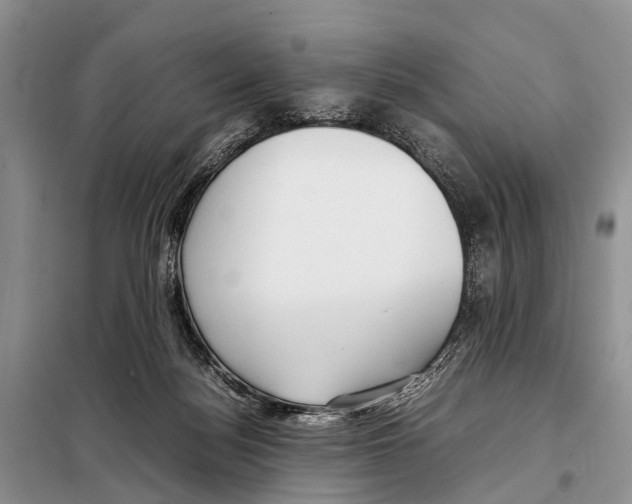 X0000098100172200805021118